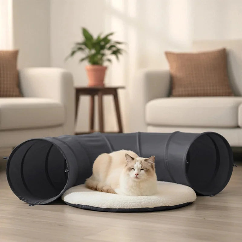 Foldable Indoor Cat Tunnel with Soft Cushion Pillow — Scratch-Resistant Hide & Seek Play Tunnel