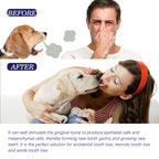 Pet Oral Cleaning Toothpaste Freshen Breath Reduce Yellowing Remove Tartar Cat Dog Gentle Teeth Brightening Toothpaste For Pets