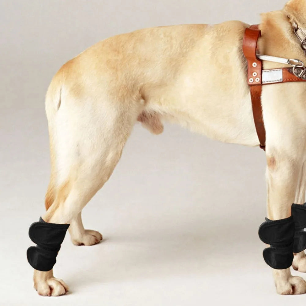2pcs Soft Lining Pet Knee Brace Stretch Flexible Thermal Warm Keep Joint Recovery Sleeve Breathable Fabric Adjustable Fit