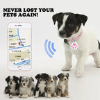 Smart Bluetooth GPS Anti-Loss Pet Tracker & Key Finder - Dog, Cat, Kids & Bag Locator for iOS & Android