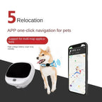 4G LTE GPS Pet Tracker - Waterproof, Real-Time Location (RF-V43)