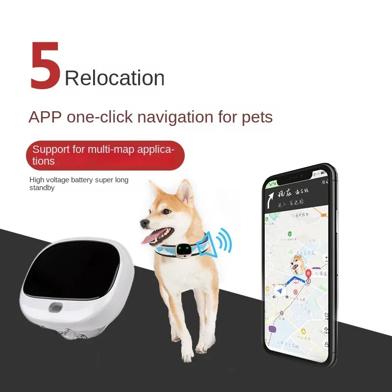 4G LTE GPS Pet Tracker - Waterproof, Real-Time Location (RF-V43)