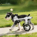 Pet Dog Wheelchair Cart Adjustable Pet Mobility Aid with Wheels Disabled Cat Dog Rehabilitation Walking Mobility Aid Pet Bracket