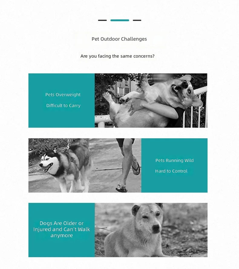 Pet Stroller for Small Dogs and Cats, Easy Foldable Travel Carrier, Portable Pet Carriage for Outdoor Walking