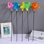 Gradient Feather Cat Teaser Wand Toy — Colorful Interactive Rod Stick for Cats (1–50 Pack)