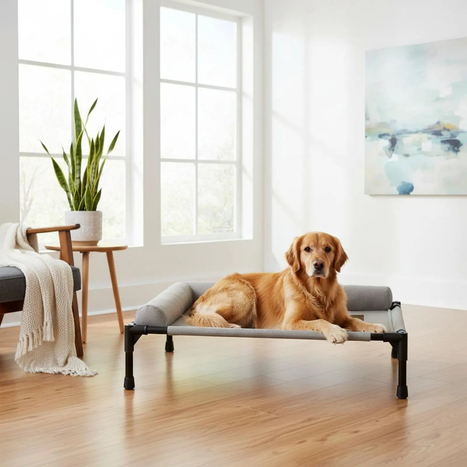 Elevated All-Season Pet Cot with Pillow Support (Travel-Friendly)