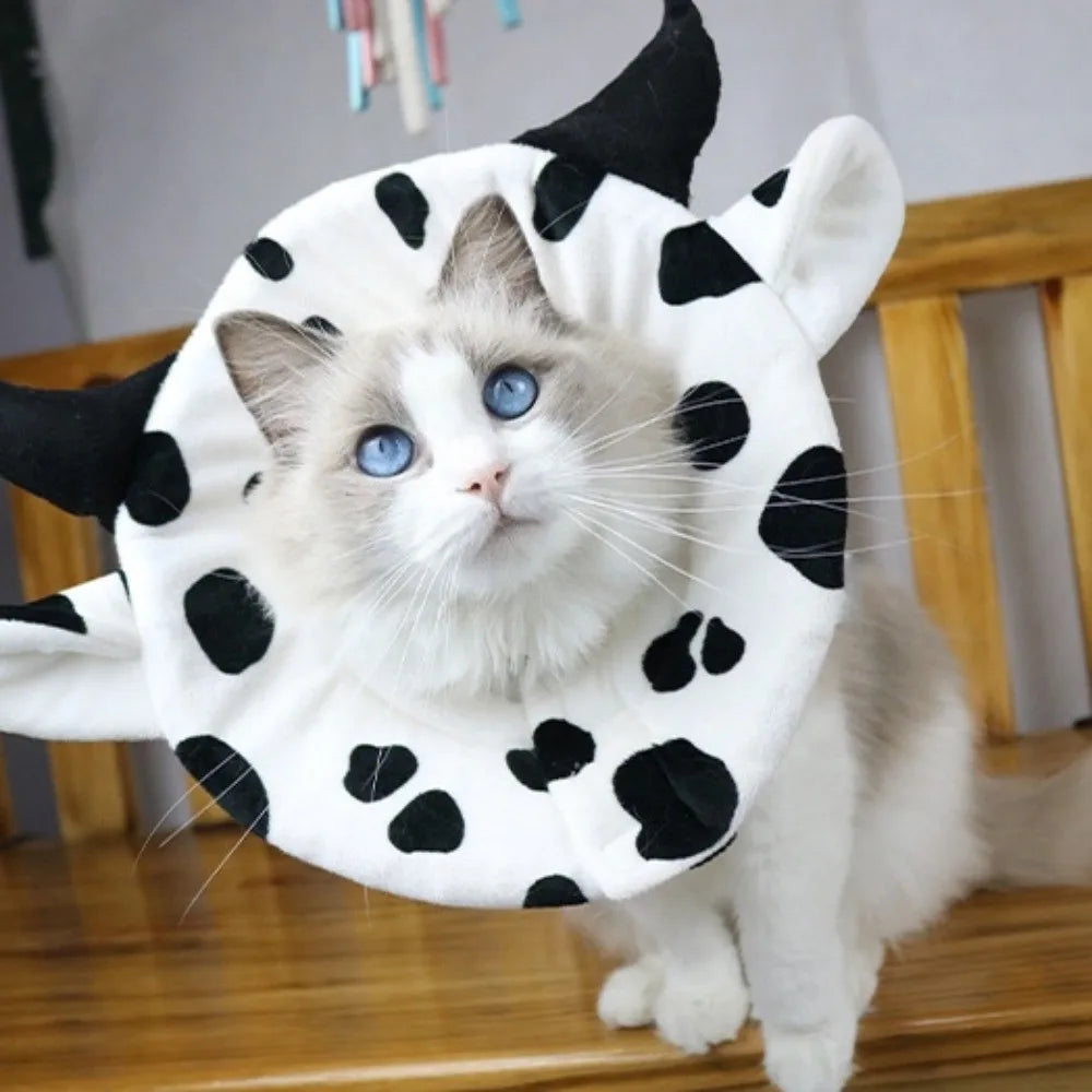 Soft Sponge Cat Recovery Collar — Cute Elizabethan Neck Cone to Stop Licking After Surgery