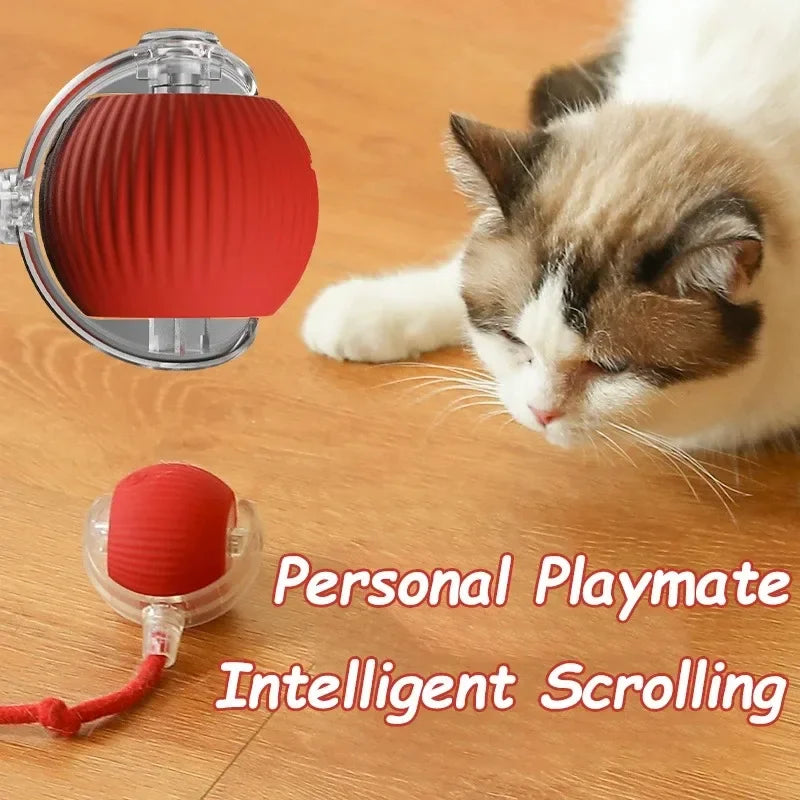 Rechargeable Auto Rolling Ball Cat Toy with Faux Tail — Smart Electric Mouse Imitation Toy for Cats & Dogs