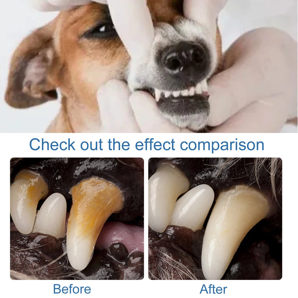 Pet Oral Foam Cleaner Dog Cat Teeth Whitening Clean Remove Tartar Calculus Eliminate Bad Breath Pet Gum Fresh Breath Spray 60ml