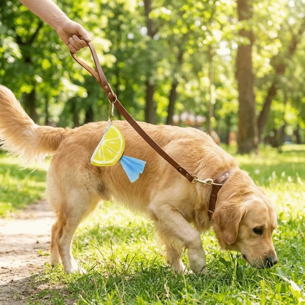 Watermelon Shape Pet Garbage Bag Dispenser Colorful with Hanging Ring Dog Poop Bag Case Portable Dog Garbage Bags Organizer Park