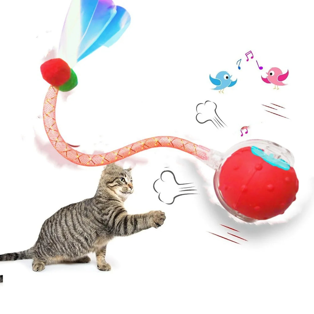 Smart Self-Rolling Ball Cat Toy — Bite-Resistant Interactive Boredom Relief