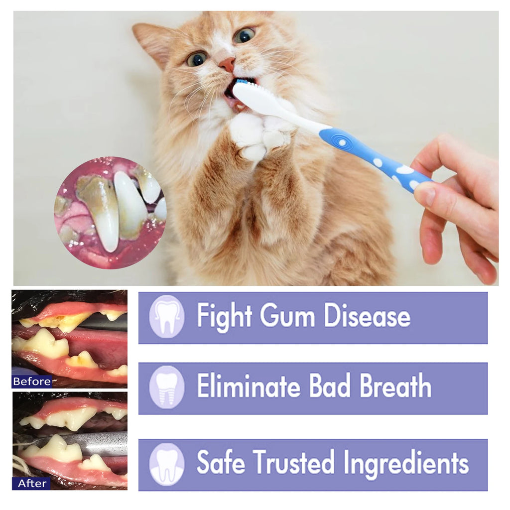 YEGBONG V34 Pet Toothpaste with Fresh Breath Formula Gentle Plaque Control Gum Care for Dogs and Cats Hypoallergenic Oral Care