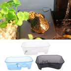 Translucent Plastic Reptile, , Turtle, Turtle, Tank, Nurseries, Terrariums, Box with Coconut Tree Ornament