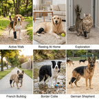 Dog Leg Recovery Sleeve (Breathable, Anti-Lick, Stretchy Fabric)