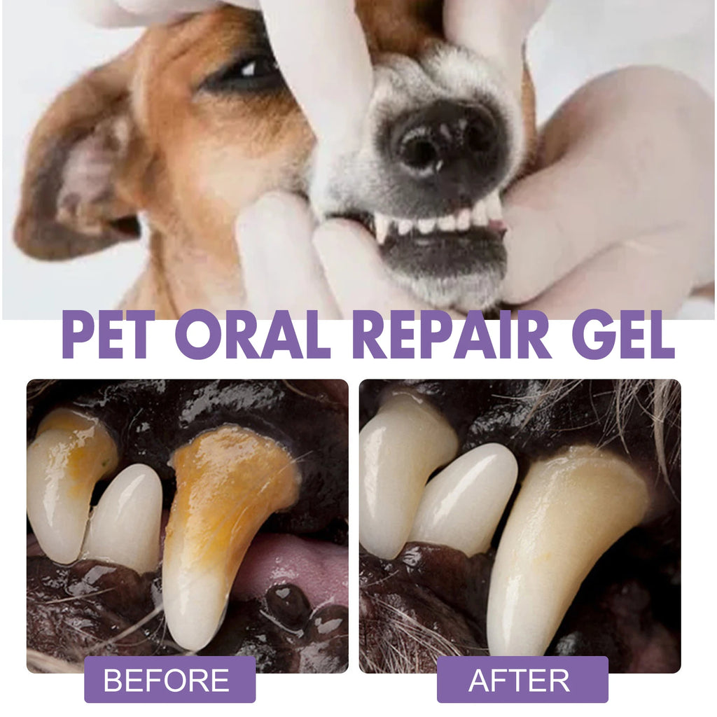 Pet Oral Repair Gel Stain Cleaner Remove Dental Stains Eliminating Odors Freshens Breath Reduce Pet Yellow Teeth Cleaning Pen