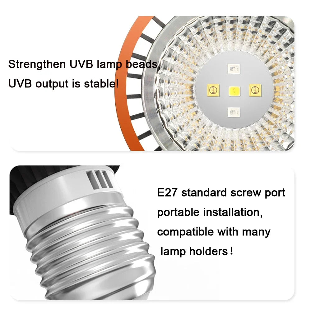 Professional 3W Reptile Lamp UVA UVB5.0 UVB10.0 Lmap LED Bulb Turtle Tortoise Lizard Basking Sunlight UVB Bulb Lighting