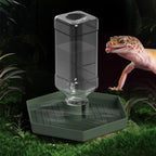 Reptile Water Dispenser-Bearded Dragon Water Bowl - Small Water Dish for Tortoise - Bowls for Reptiles & Amphibians (S)