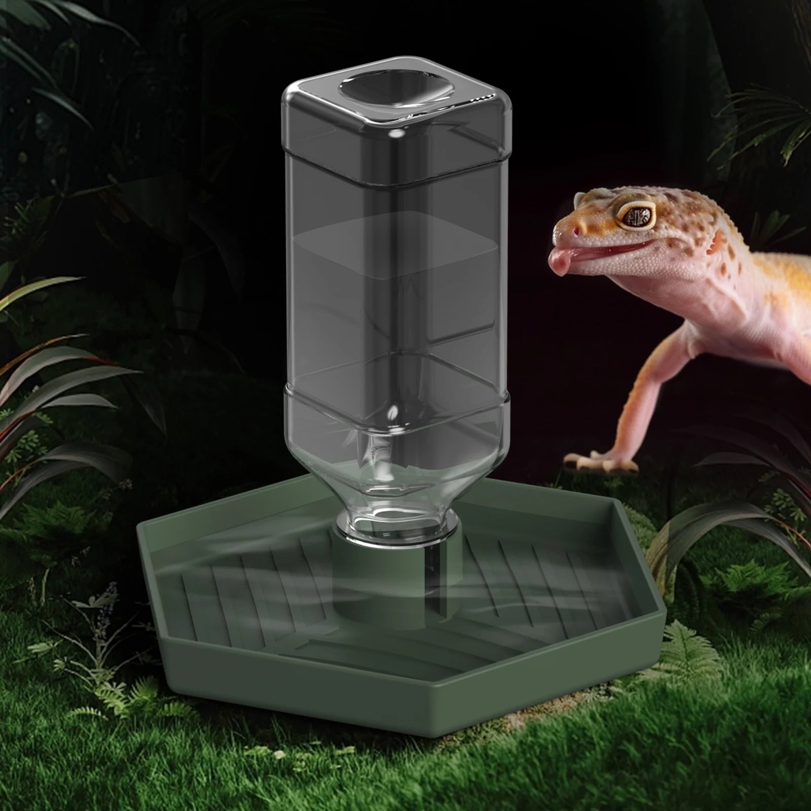 Reptile Water Dispenser-Bearded Dragon Water Bowl - Small Water Dish for Tortoise - Bowls for Reptiles & Amphibians (S)