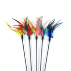 Gradient Feather Cat Teaser Wand Toy — Colorful Interactive Rod Stick for Cats (1–50 Pack)