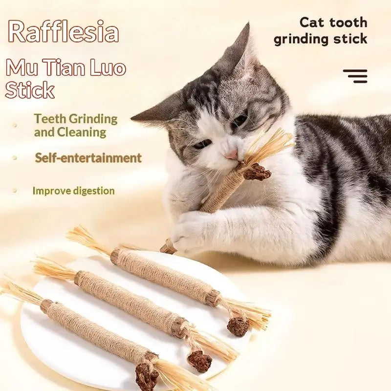 Natural Wood Knotweed Cat Teething Stick Set with Raffia & Sisal Rope