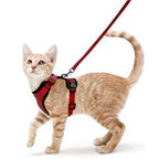 Anti-Escape Kitten Harness & Traction Belt — Lightweight Breathable Soft Vest for Walking Small Cats