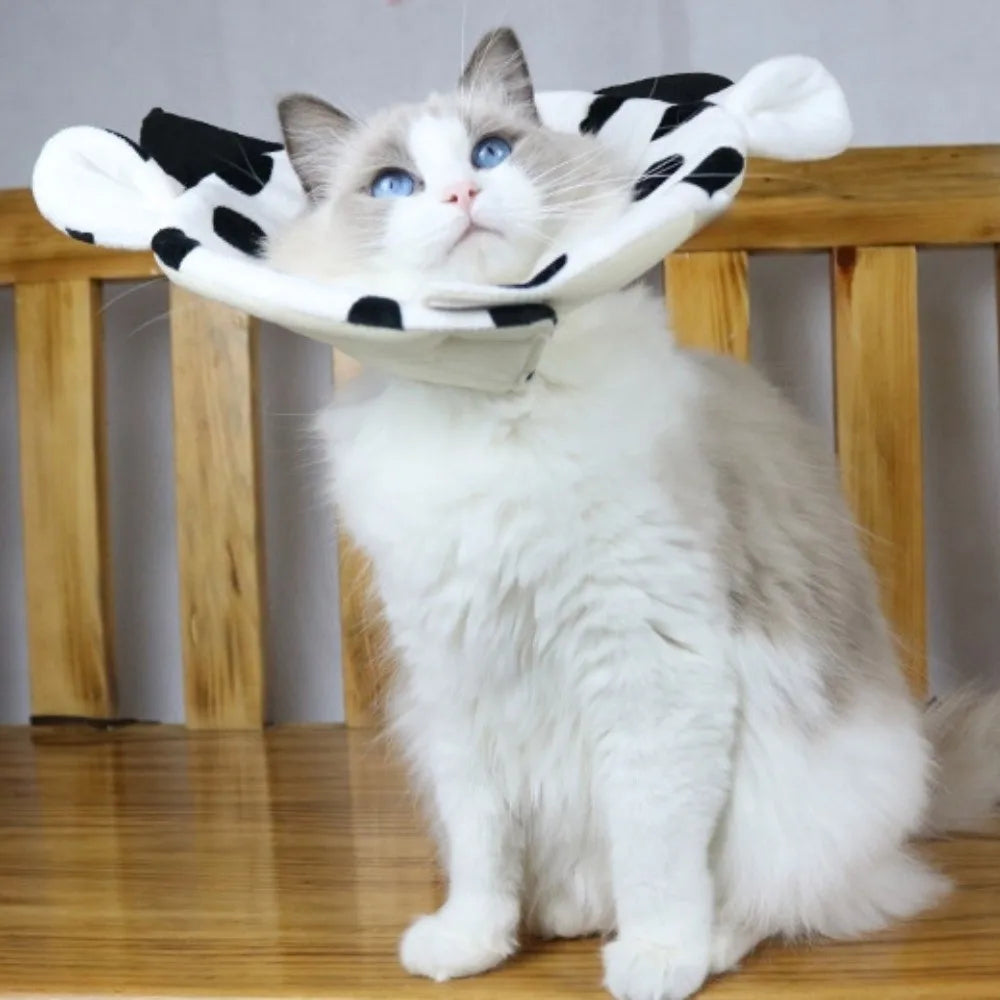 Soft Sponge Cat Recovery Collar — Cute Elizabethan Neck Cone to Stop Licking After Surgery
