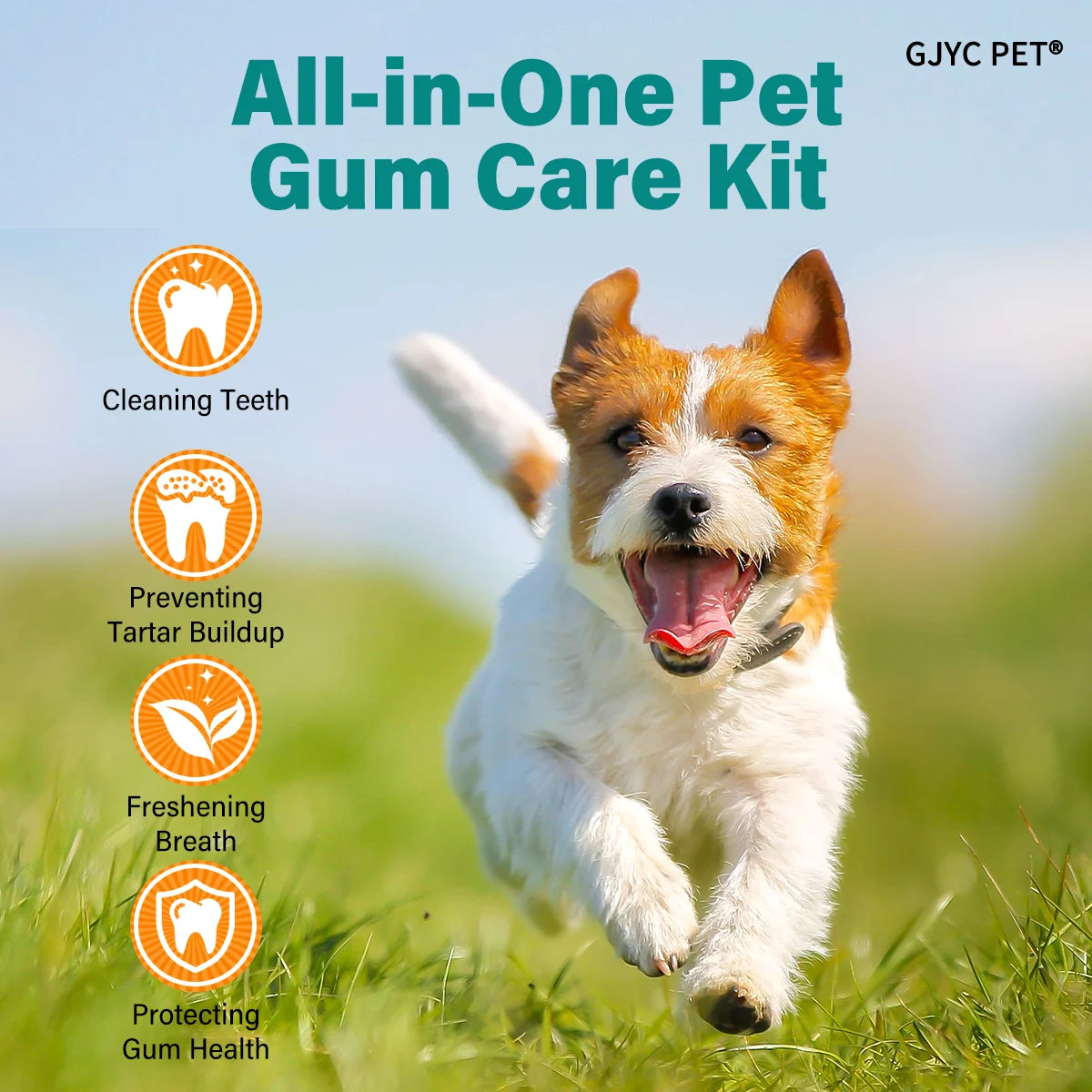 Pet Toothpaste Kit Toothbrush & Finger Brush Watermelon Flavor Gentle Fresh Breath Plaque Tartar Remover for Dogs Cats Oral Care