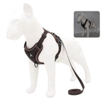 Escape-Proof Reflective Cat Harness & Leash Set