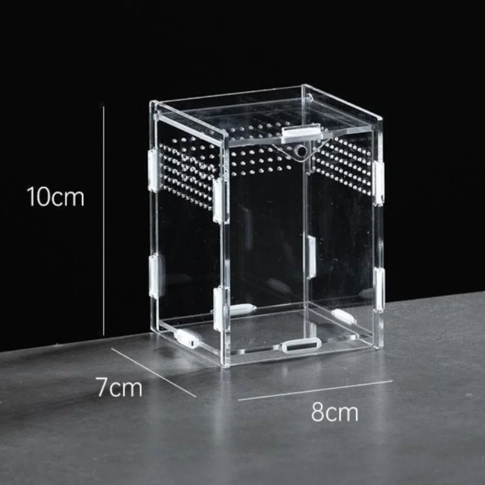 Durable Acrylic Reptile Habitat Anti-Escape Multiple Size Lizard Breeding Box Clear Arboreal Spider Feeding Case for Chameleon