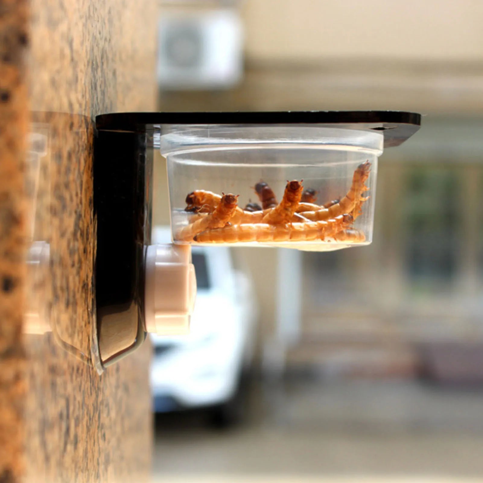 Crested Gecko Feeding Ledge Reptile Food Bowls and Water Dish for Feeder Ledge Accessories Supplies