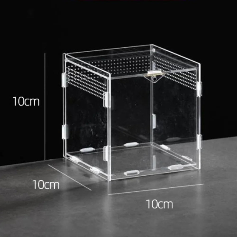 Durable Acrylic Reptile Habitat Anti-Escape Multiple Size Lizard Breeding Box Clear Arboreal Spider Feeding Case for Chameleon
