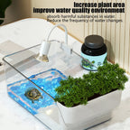Turtle Tank with Basking Area, Transparent Reptile Terrarium Habitat for Pet Turtles, Hermit Crabs, Tortoise Adoption