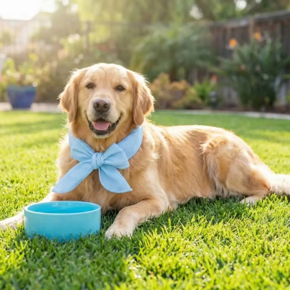 2Pcs Cute Print Pet Cooling Ice Scarf Adjustable Breathable Towel Pet Cool Neck Ring Fast Cooling Reusable Puppy Ice Collar