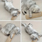 Cat Pillow Game Toy with Scratch Pad — Solo & Interactive Play Enrichment Set