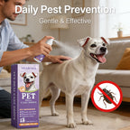Pet Flea Spray Effectively Removing Fleas Ticks Relieve Skin Itching Natural Ingredients Non Irritating Dog & Cat Flea Repellent