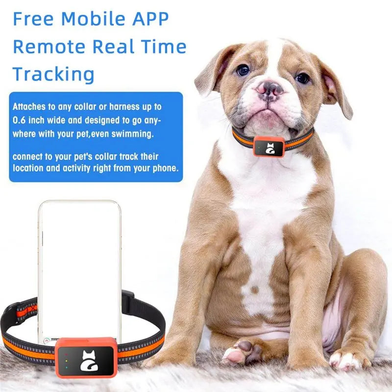 A25F 4G Smart GPS Pet Tracker with Apple Find My Collar Holder for Dogs & Cats - Waterproof (US Version)