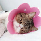 Soft EVA Flower-Shaped Pet Recovery Collar — Anti-Lick & Anti-Bite Wound Protection Cover