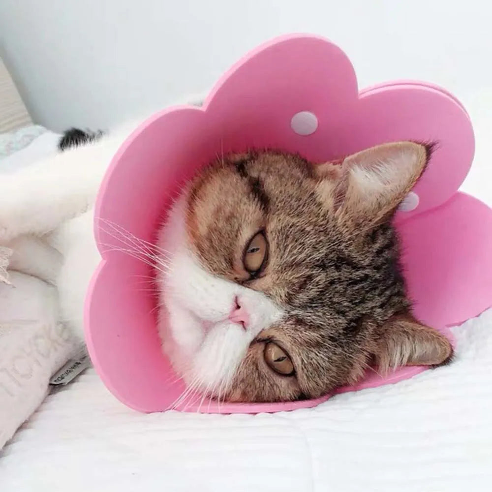 Soft EVA Flower-Shaped Pet Recovery Collar — Anti-Lick & Anti-Bite Wound Protection Cover