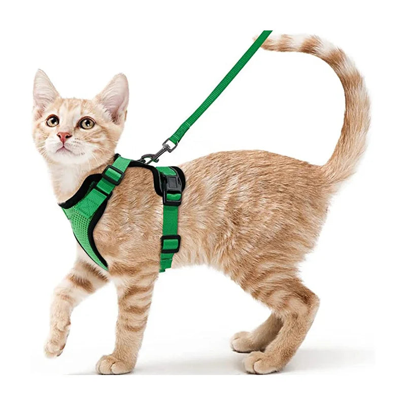 Anti-Escape Kitten Harness & Traction Belt — Lightweight Breathable Soft Vest for Walking Small Cats