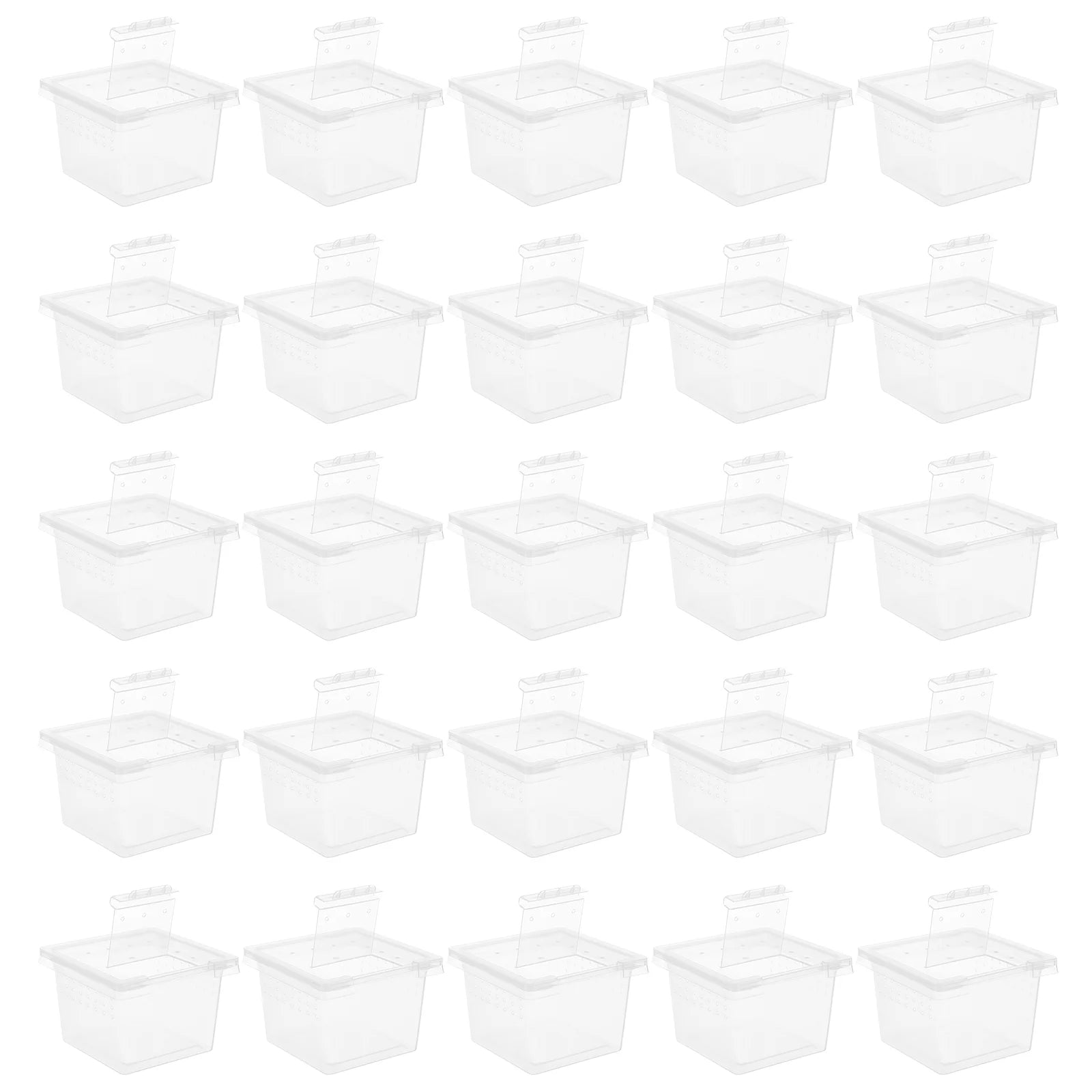 100 Pcs Pet Feeding Box Acrylic Terrarium Reptiles Lizard Spider Cage Kennel Animals Food Incubator Tank