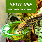 Arboreal Reptile Live Anti-escape Sucker Feeder Chameleon Food Basin Wall Double Layer Plastic Bowls for Small Animals D9210