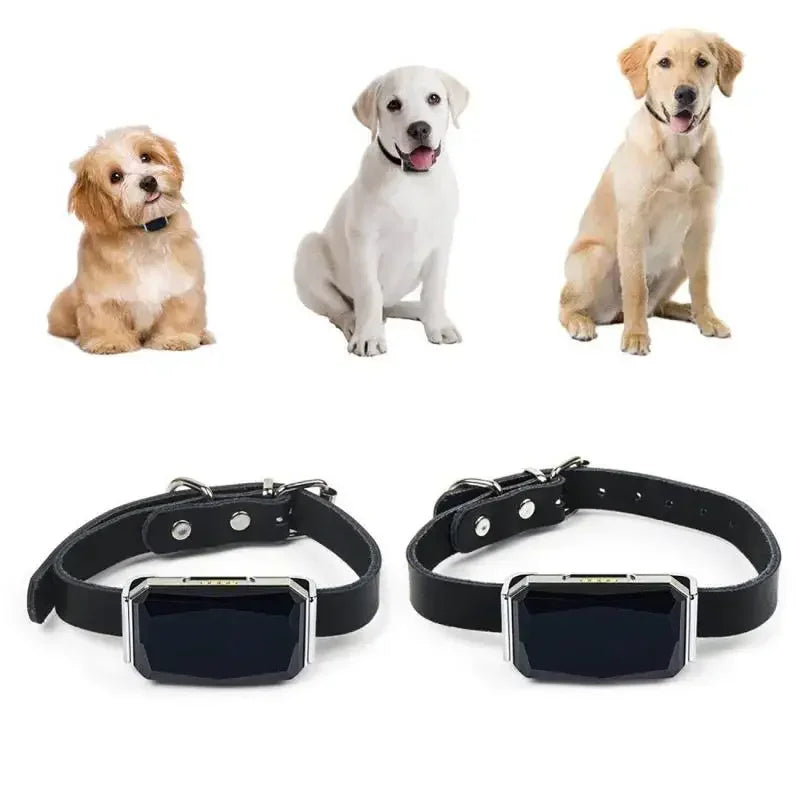 IP67 Waterproof WiFi GPS Pet Collar Tracker with LED Light - Anti-Loss Locator for Dogs, Pets & Kids