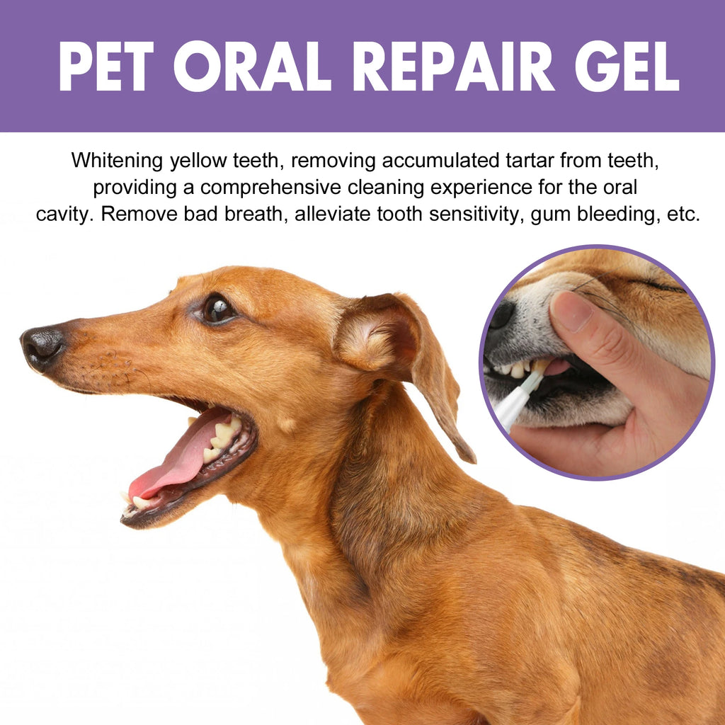 Pet Oral Repair Gel Stain Cleaner Remove Dental Stains Eliminating Odors Freshens Breath Reduce Pet Yellow Teeth Cleaning Pen