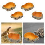 Reptile Water Bowls Decorative Terrarium Habitat Decoration Resin Feeding Bowl for Frog Tortoise Turtle Leopard Gecko