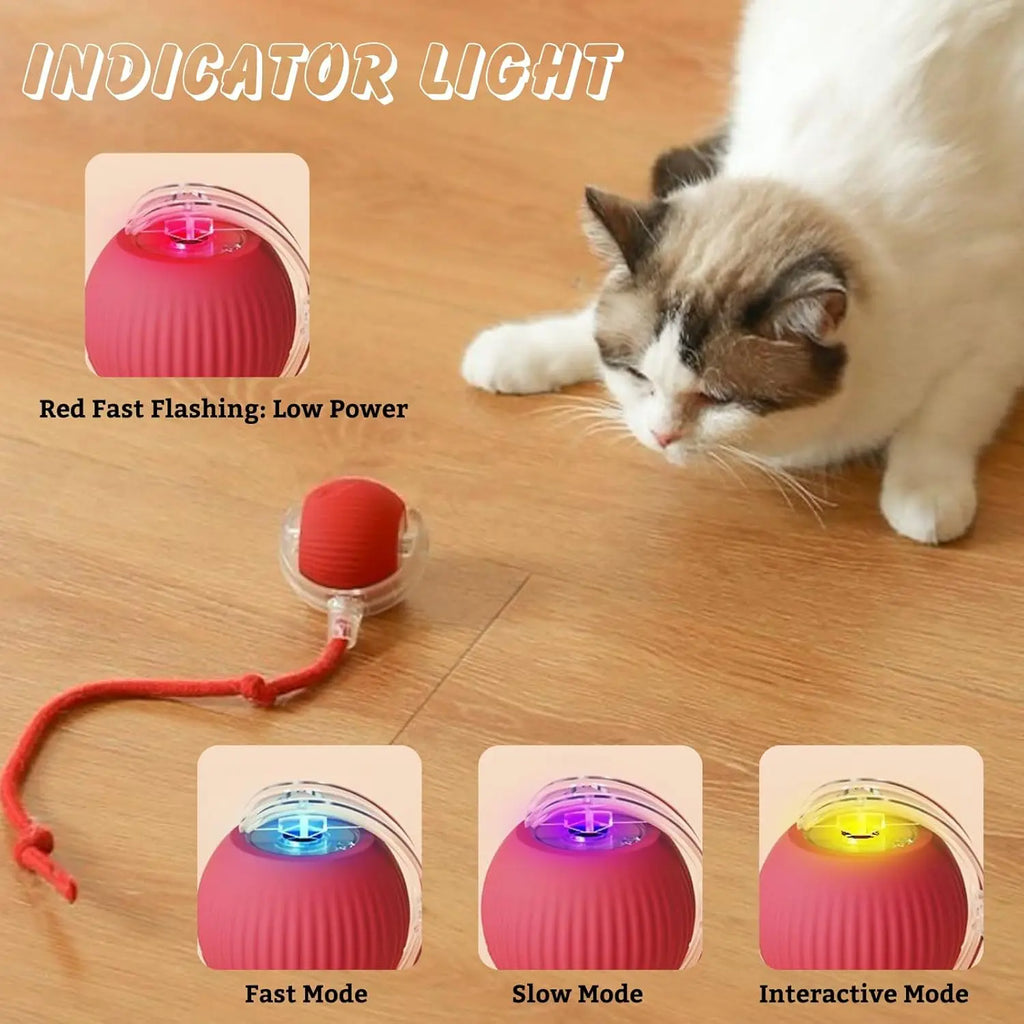 Auto Bouncing Ball Cat Toy with Rope — Type-C Rechargeable Motion-Activated 3-Mode Interactive Toy
