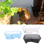 Translucent Plastic Reptile, , Turtle, Turtle, Tank, Nurseries, Terrariums, Box with Coconut Tree Ornament