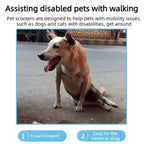 Dog Wheelchair for Disabled Pets Rear Leg Support Scooter Mobility Aid for Elderly Dogs