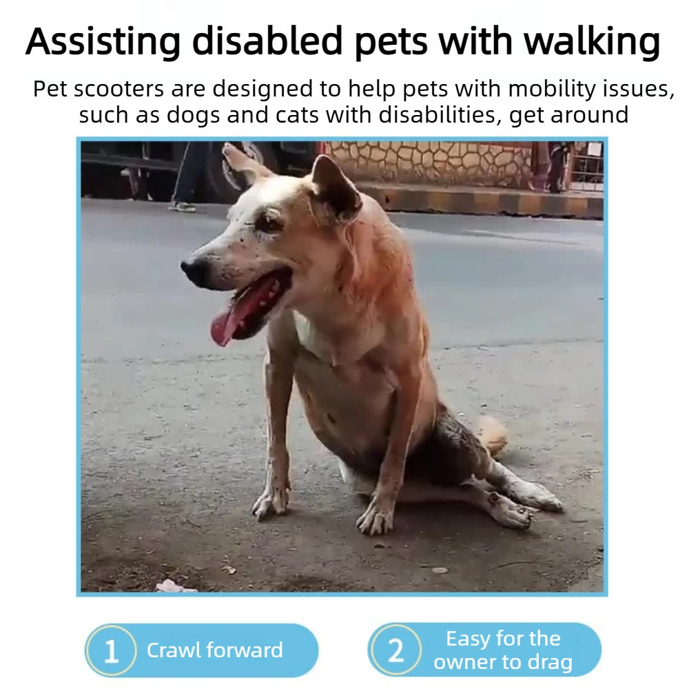 Dog Wheelchair for Disabled Pets Rear Leg Support Scooter Mobility Aid for Elderly Dogs