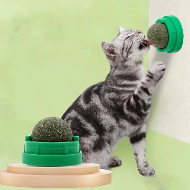 Mint Cat Dental Chew Ball Toy — Teeth Cleaning & Entertainment Lick Toy