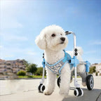 Pet Dog Wheelchair Cart Adjustable Pet Mobility Aid with Wheels Disabled Cat Dog Rehabilitation Walking Mobility Aid Pet Bracket